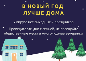 В НОВЫЙ ГОД ЛУЧШЕ ДОМА!